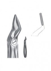 Extracting Forceps - English Pattern