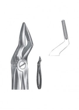 Extracting Forceps - English Pattern