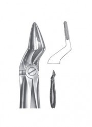 Extracting Forceps - English Pattern