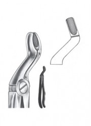 Relax - Extracting Forceps