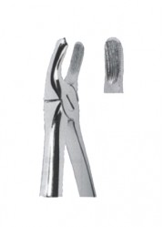 Extracting  Forceps For Children - English Pattern