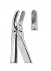 Extracting  Forceps For Children - English Pattern