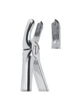 Extracting  Forceps For Children - English Pattern