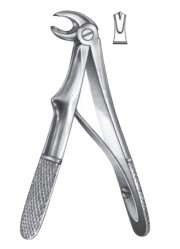 Extracting  Forceps For Children - English Pattern