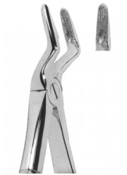 Extracting  Forceps - English Pattern