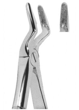 Extracting  Forceps - English Pattern