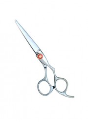 Professional Hair Cutting Scissor