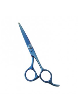 Professional Hair Cutting Scissors