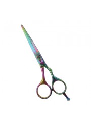 Professional Hair Cutting Scissors