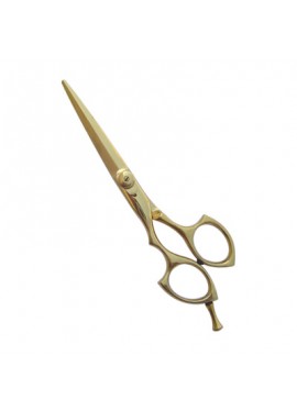 Professional Hair Cutting Scissors