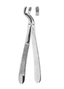 1-Extracting Forceps - English Pattern