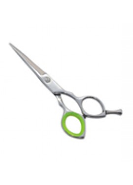 Professional Hair Cutting Scissor