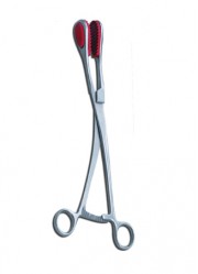 Bovine Cervical Forceps