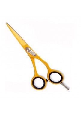 Professional Hair Cutting Scissors