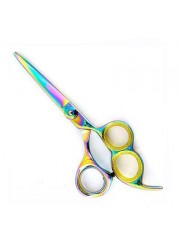 Professional Hair Cutting Scissors