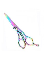 Professional Hair Cutting Scissors