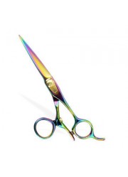 Professional Hair Cutting Scissors