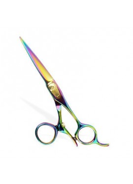 Professional Hair Cutting Scissors