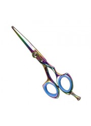 Professional Hair Cutting Scissors