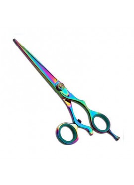 Professional Hair Cutting Scissors