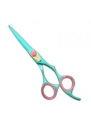 Professional Hair Cutting Scissors